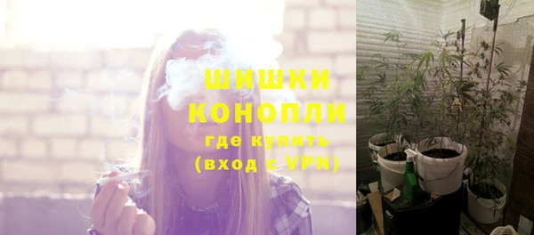 мдпв Кукмор