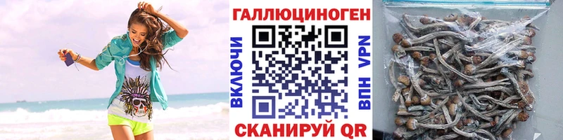 MEGA ссылка  Куйбышев  Галлюциногенные грибы Psilocybe  купить наркоту 