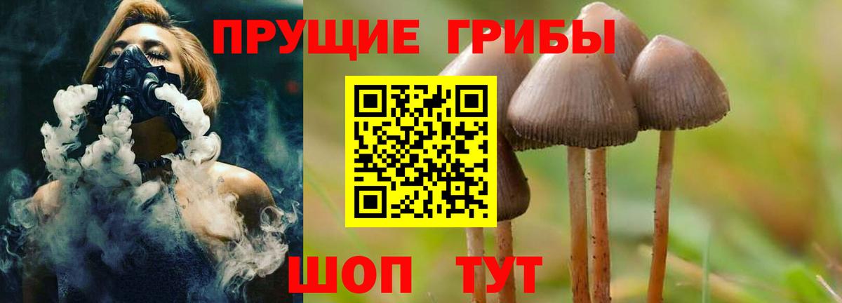 Галлюциногенные грибы Psilocybine cubensis Куйбышев